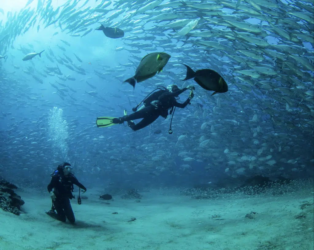 snorkeling-plongee-Uvita-Costa-Rica