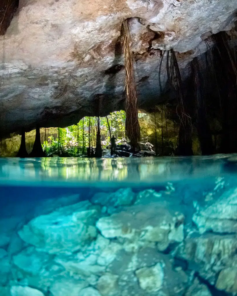 L'un des 13 plus beaux cénotes au Mexique le cénote Chikin Ha à Playa del Carmen