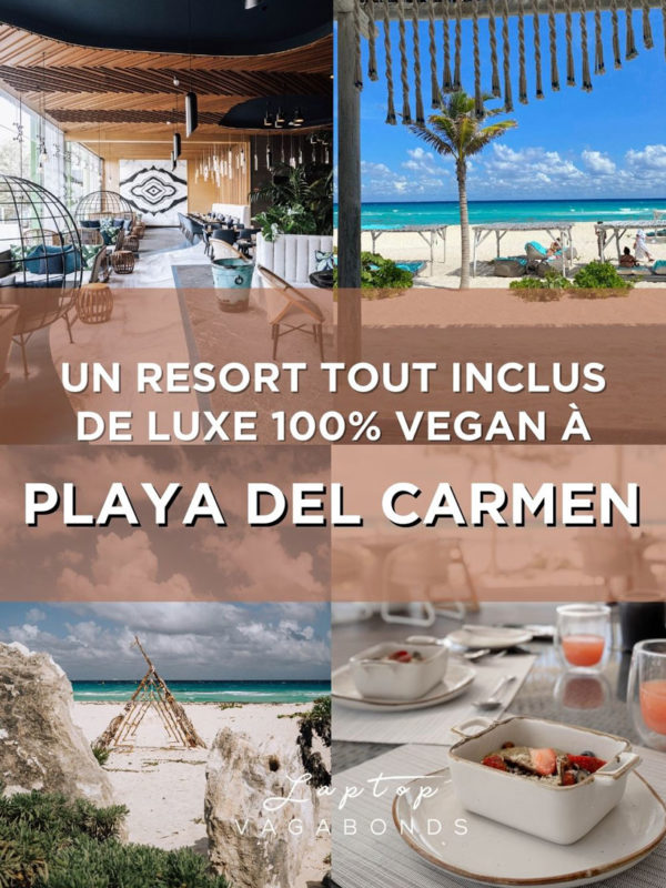 Review de la retraite holistique végane Palmaïa à Playa Del Carmen