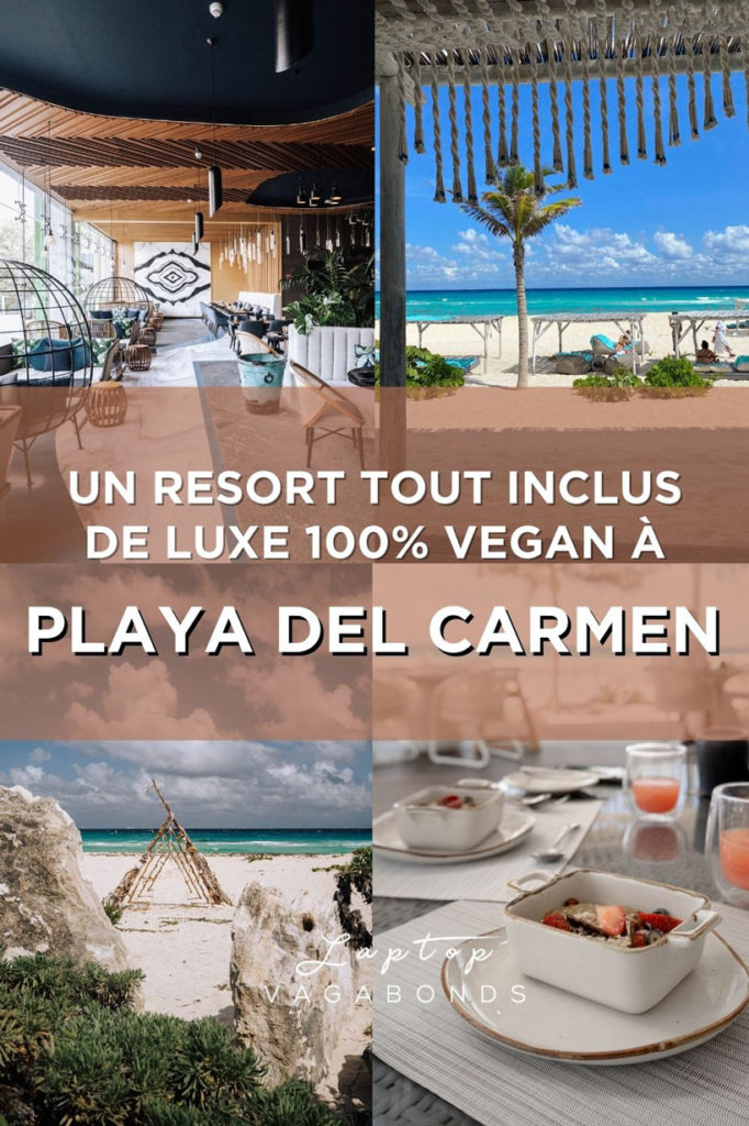 Review de la retraite holistique végane Palmaïa à Playa Del Carmen